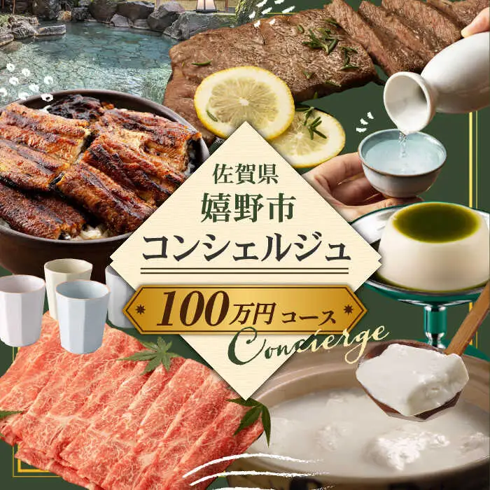 コンシェルジュ100万円プラン NZY002 