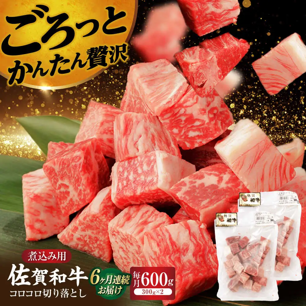 【定期便】牛肉切り落とし 600g NAC108 牛肉切り落とし 全6回