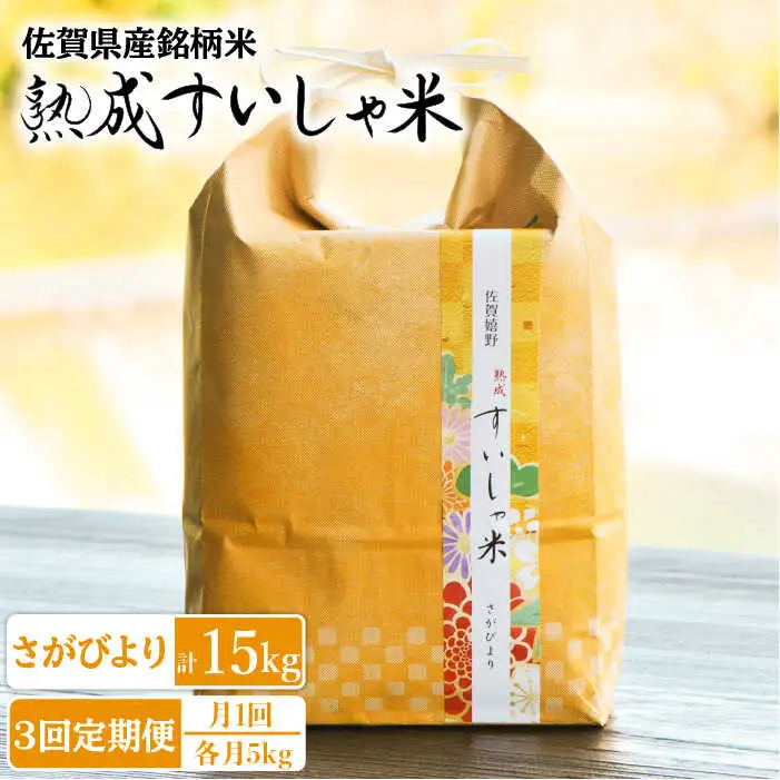 【定期便】 白米 令和7年産さがびより5kg NAO039 全3回 白米