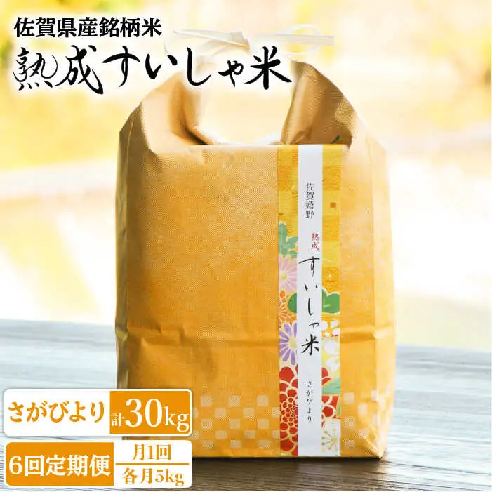 【定期便】 白米 令和7年産さがびより5kg NAO040 全6回 白米