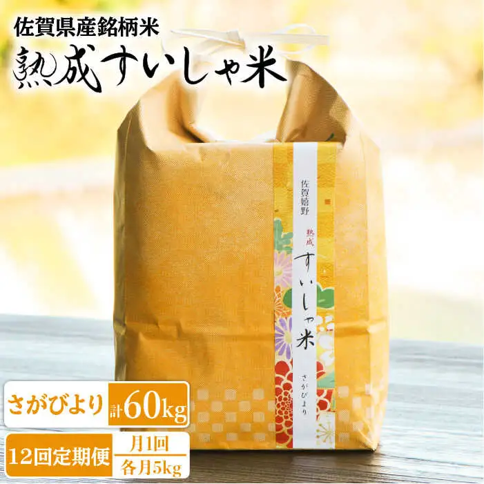 【定期便】 白米 令和7年産さがびより5kg NAO041 全12回 白米