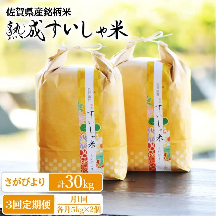定期便 白米 令和7年産さがびより10kg NAO042 全3回 白米