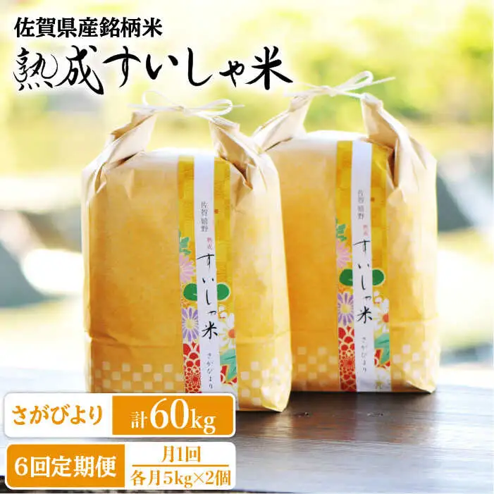 定期便 白米 令和7年産さがびより10kg NAO043 全6回 白米