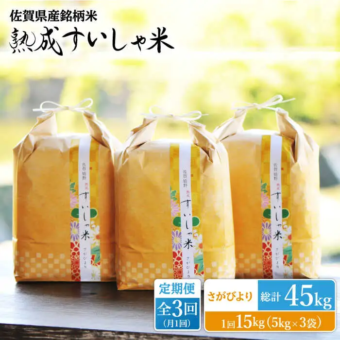 【定期便】 白米 令和7年産さがびより15kg NAO045 全3回 白米