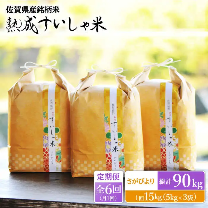 【定期便】 白米 令和7年産さがびより15kg NAO046 全6回 白米