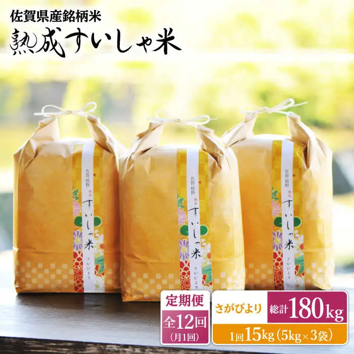 【定期便】 白米 令和7年産さがびより15kg NAO047 全12回 白米