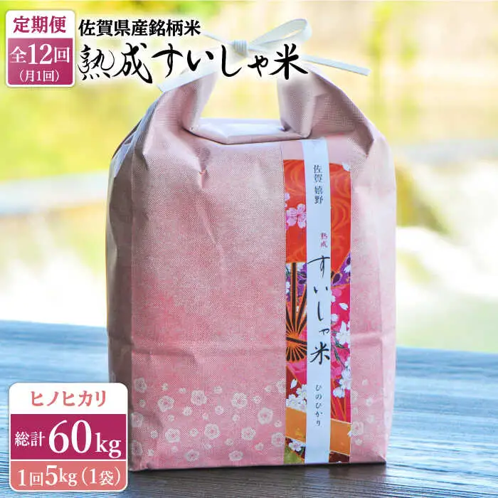 【定期便】 白米 令和7年産ヒノヒカリ5kg NAO059 全12回 白米