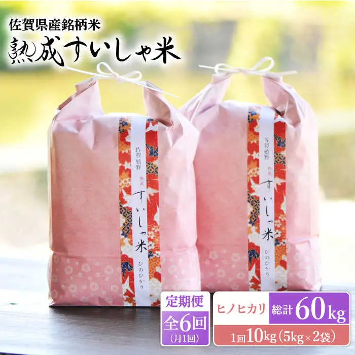 【定期便】 白米 令和7年産ヒノヒカリ10kg NAO061 全6回 白米