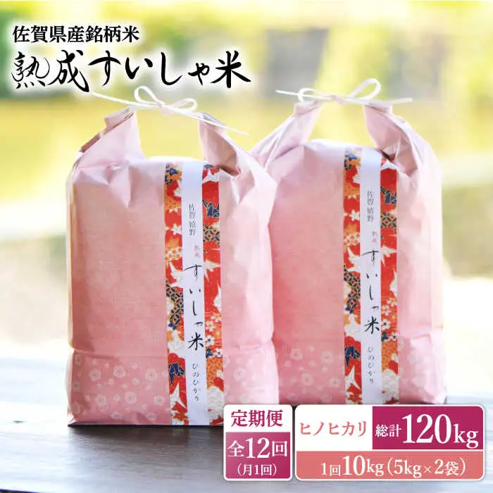 【定期便】 白米 令和7年産ヒノヒカリ10kg NAO062 全12回 白米