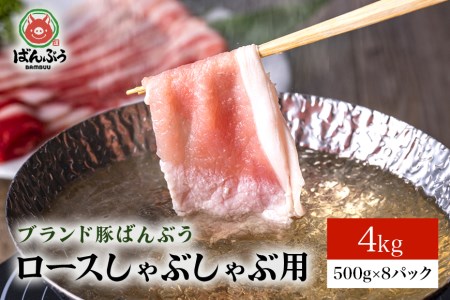 ブランド豚「ばんぶぅ」小分け ロースしゃぶしゃぶ用 4kg（500g×8パック） 冷凍便 4キロ 豚肉 豚しゃぶ 豚ロース スライス肉 薄切り肉 うす切り肉 ぶた肉 すき焼き用 すきやき用 ブタ肉 国産 茨城県産 ギフト プレゼント 高級部位 42-AF