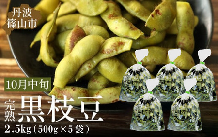 【早期予約/2026年10月中旬発送】令和8年産 丹波ふるさと村　丹波黒枝豆500g×5(枝なし)  大粒 黒枝豆 丹波篠山産 Q011