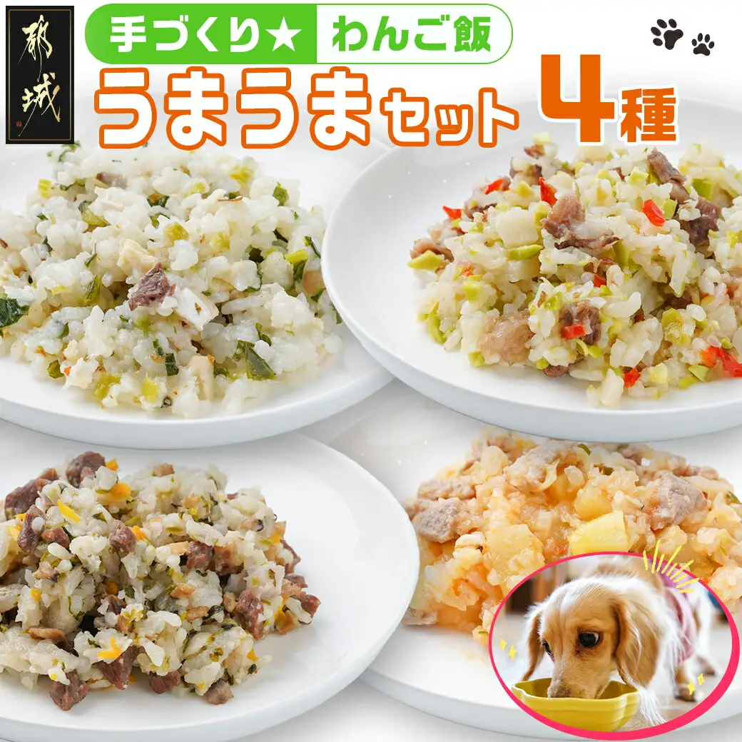 手づくり☆わんご飯『うまうまセット』〔12-J501〕_(都城市) 犬用 手づくりご飯 ぶり大根 馬肉ッパ 牛しぐれ 豚肉ポトフ ドッグフード ペットフード