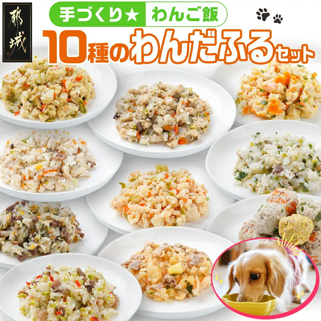手づくり☆わんご飯『10種のわんだふるセット』〔AC-J501〕_(都城市) 犬用 手づくりご飯 鶏ごぼうご飯 サーモンリゾット すき焼き風ご飯 とまとスープご飯 ぶり大根 馬肉ッパ 牛しぐれ等 ペットフード