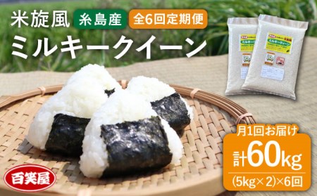 【 全6回 定期便 】米 旋風 ミルキークイーン 10kg （ 5kg × 2袋 ）《糸島》【百笑屋】 [ABF018] 米 お米 白米 精米