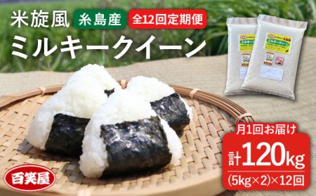 【 全12回 定期便 】米 旋風 ミルキークイーン 10kg（ 5kg × 2 ）《糸島》【百笑屋】 [ABF019] 米 お米 白米 精米