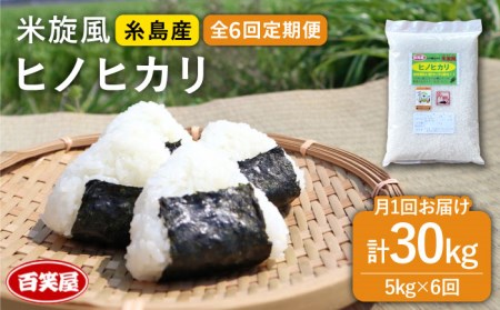 【 全6回 定期便 】米 旋風 ヒノヒカリ 5kg 《糸島》【百笑屋】 [ABF021]  米 お米 白米 精米 定期便 ひのひかり
