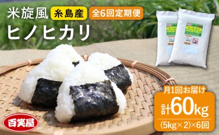 【 全6回 定期便 】米 旋風 ヒノヒカリ 10kg（ 5kg × 2 ）《百笑屋》 [ABF024]  米 お米 白米 精米 定期便 ひのひかり