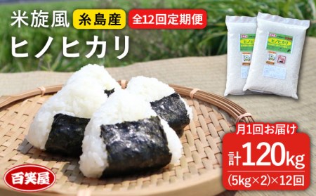 【 全12回 定期便 】米 旋風 ヒノヒカリ 10kg（ 5kg × 2袋 ）《糸島》【百笑屋】 [ABF025]  米 お米 白米 精米 定期便 ひのひかり