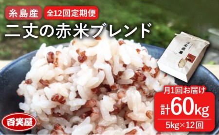 【 全12回 定期便 】二丈の 赤米 ブレンド 5kg  《糸島》【百笑屋】 [ABF040] 米 お米 白米 赤米