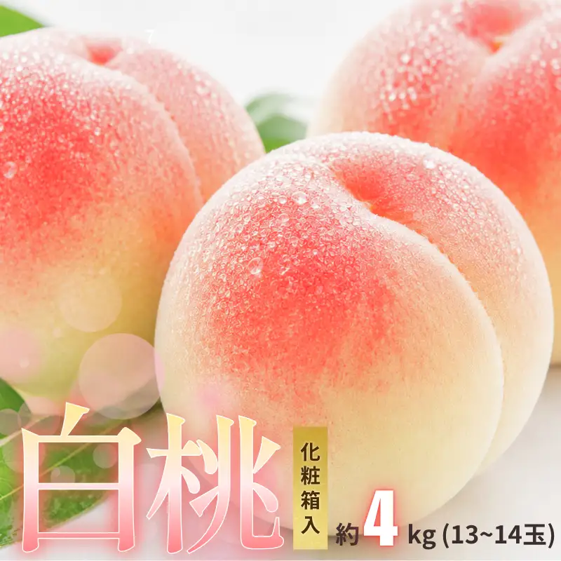 新見の白桃 約4kg 14～15玉 贈答にも【先行予約 7月下旬から順次発送】