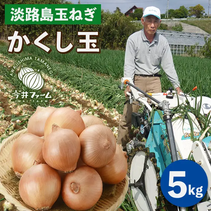 今井ファームの淡路島たまねぎ「かくし玉」 5kg　玉ねぎ
