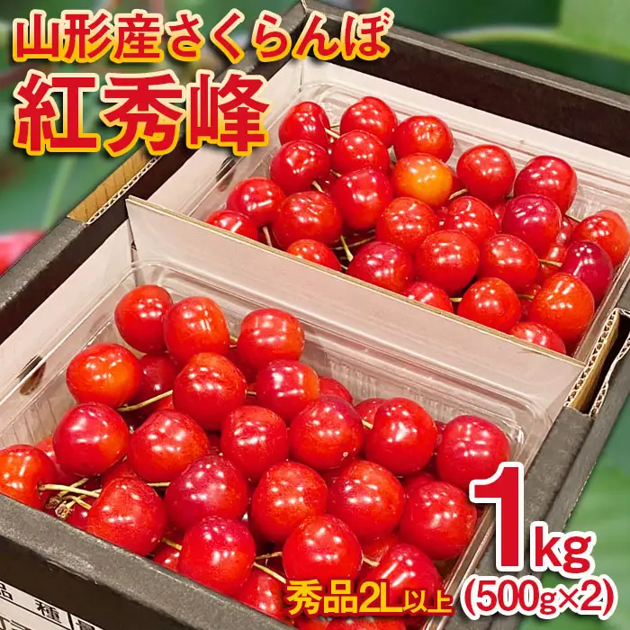 さくらんぼ 紅秀峰 ”希少な大粒”　厳選 2Lサイズ 1kg(500g×2パック）【令和9年産先行予約】FS25-570