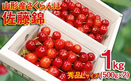 さくらんぼ 佐藤錦 Lサイズ 1kg(500g×2パック） 【令和9年産先行予約】FS25-571