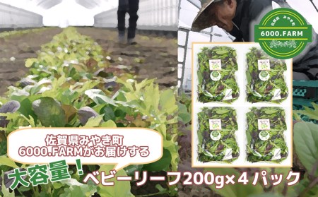 FV024_大容量ベビーリーフ200ｇ×４セット 有機JAS認証取得 野菜　産地直送　旬野菜　新鮮野菜　国産　冷蔵発送