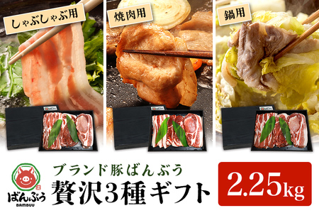 ブランド豚「ばんぶぅ」化粧箱入りギフト 3種（しゃぶしゃぶ用、焼肉用、鍋用）計2.25kg 冷凍便 約2kg 約2キロ たっぷり 豚肉 豚ロース 豚肩ロース 豚バラ肉 豚ばら肉 スライス うす切り 薄切り 豚しゃぶ 焼き肉 お鍋 ぶた肉 ブタ肉 国産 茨城県産 プレゼント 贈り物 贈答品 お祝い 42-AW