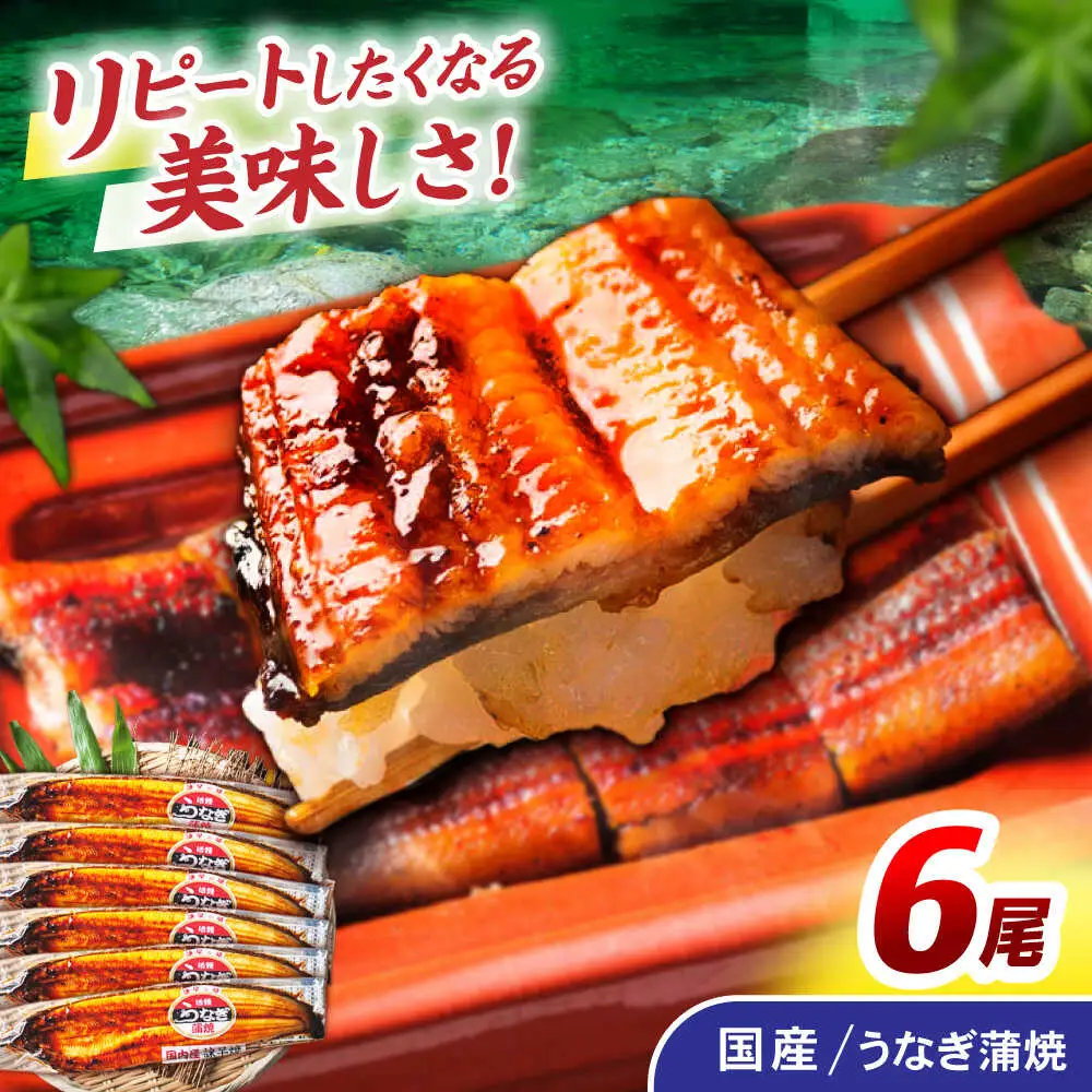 ＜諫早淡水＞うなぎ蒲焼 6尾 / うなぎ ウナギ 鰻 蒲焼き 蒲焼 国産 冷凍 小分け うな重 うな丼 ひつまぶし / 諫早市 / 諫早淡水株式会社 [AHAT008]