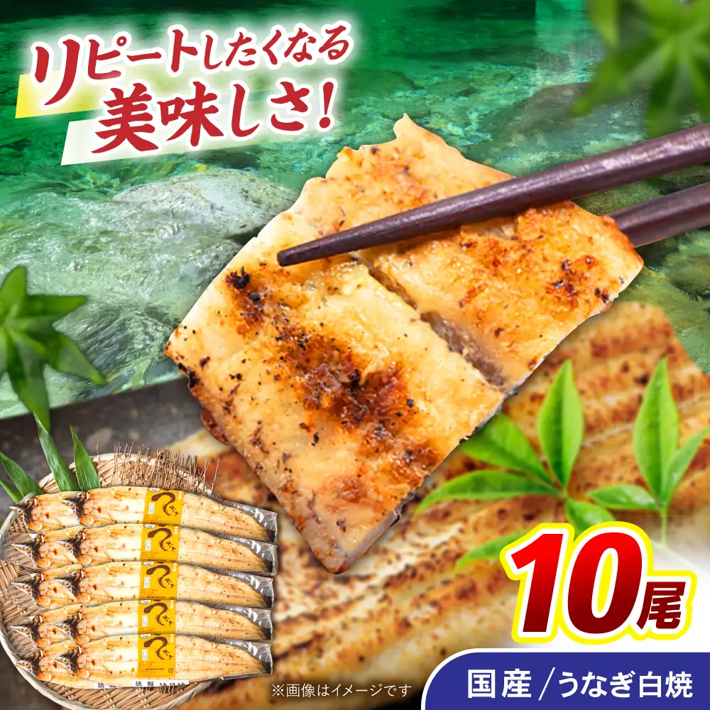 ＜諫早淡水＞うなぎ白焼き 10尾 / うなぎ ウナギ 鰻 白焼き 白焼 しらやき 国産 冷凍 小分け / 諫早市 / 諫早淡水株式会社 [AHAT010]