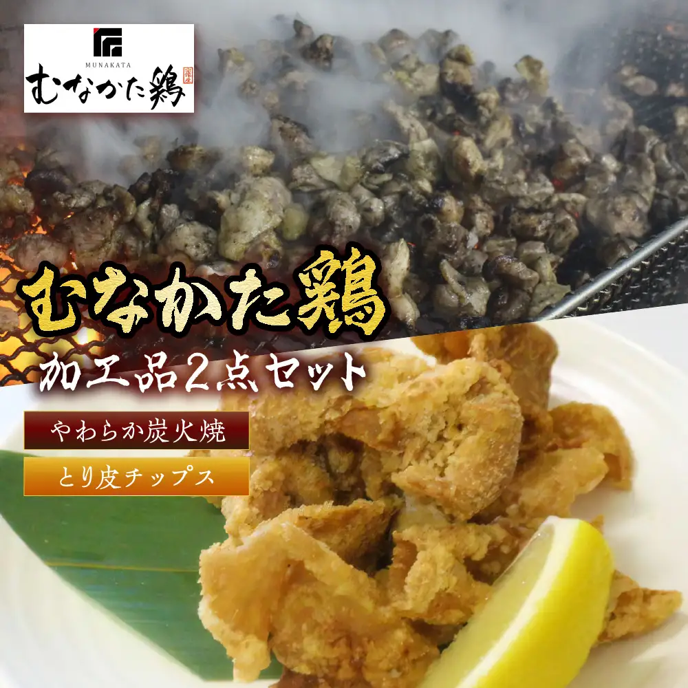 むなかた鶏加工品2点セット（とり皮チップス・やわらか炭火焼）【道の駅むなかた】_HA0772