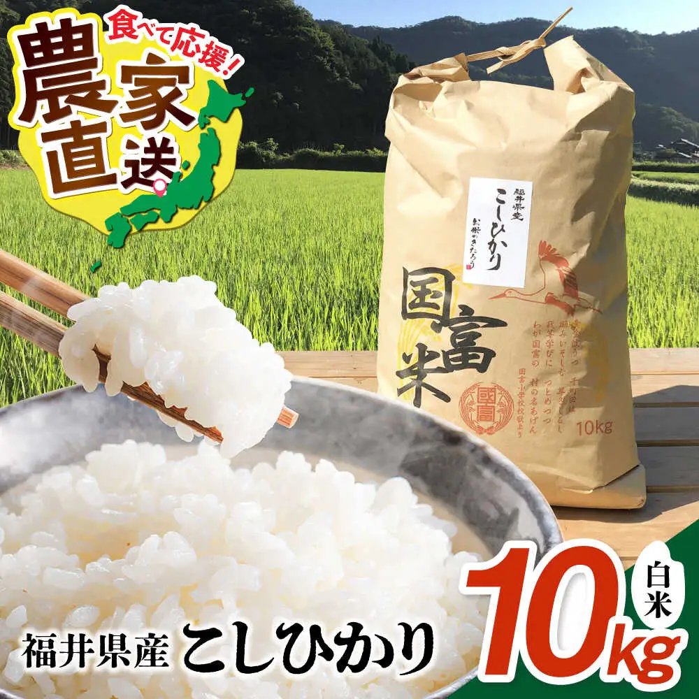 【令和7年度産】福井県産 こしひかり 白米 10kg / 米 白米 精米 小浜市 / お米のきたろう [BFBW001] 