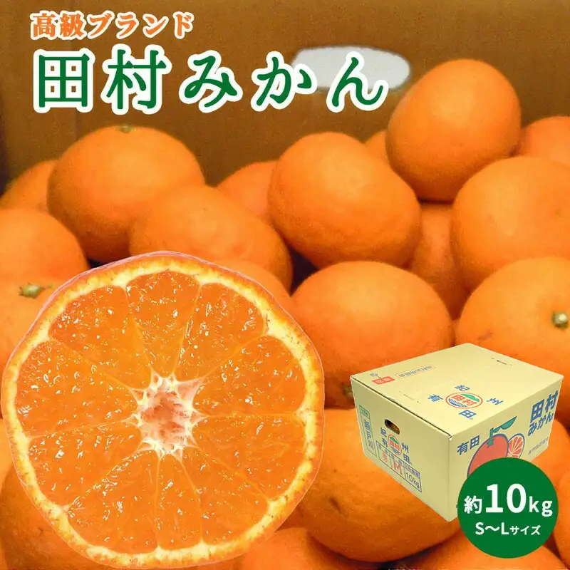 【2026年先行予約】高級ブランド 田村みかん 秀品 10kg (S～Lサイズおまかせ） 【ミカン 蜜柑 柑橘 温州みかん 有田みかん】_DN6015