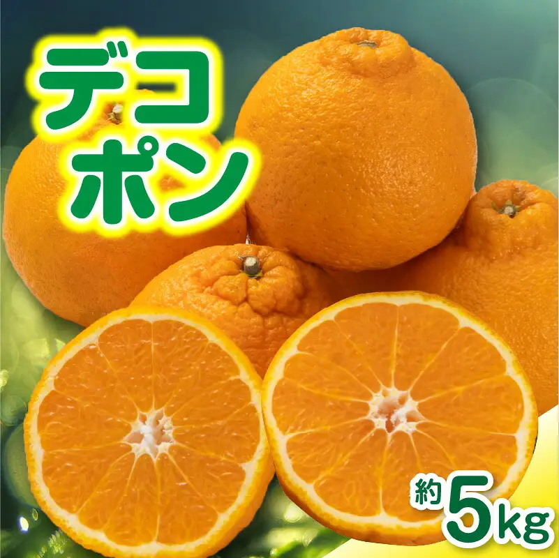 ご家庭用デコポン約5kg 濃厚ぷりっぷりっ♪