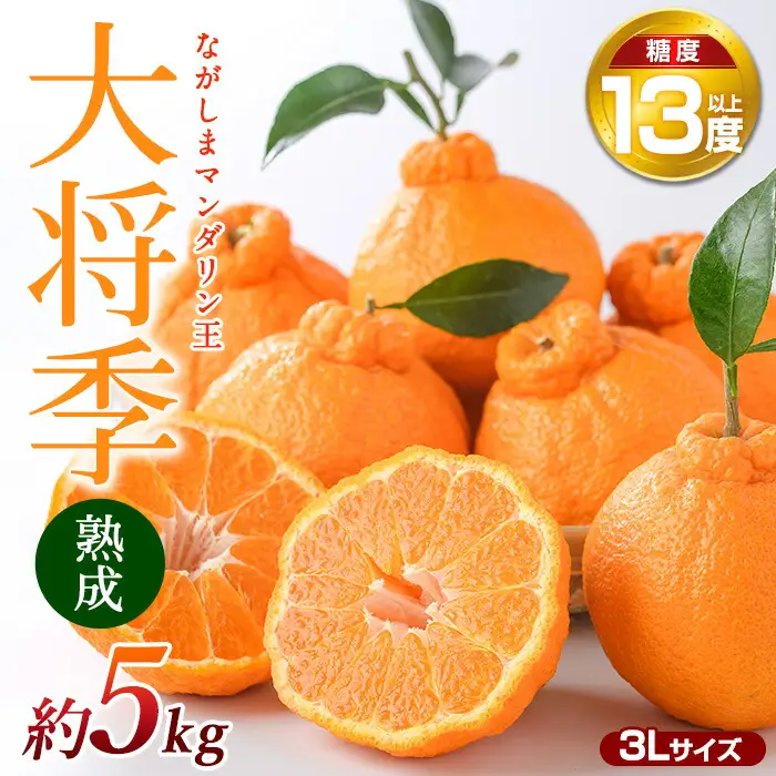 【先行予約】熟成 ながしまマンダリン王(大将季) 約5kg【ながしまマンダリングループ】mandarin-7199