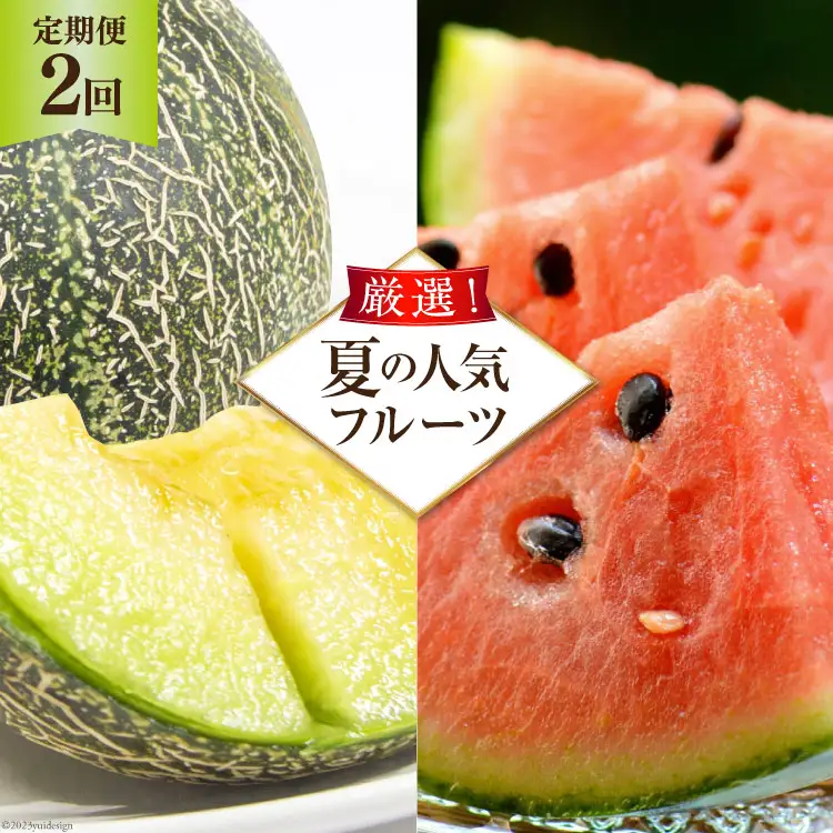 AG131【令和9年度出荷分】 全2回 厳選！夏の人気フルーツ定期便
