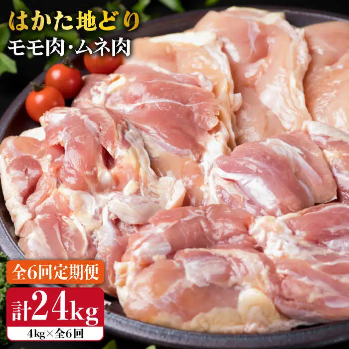 【全6回定期便】はかた地どり もも肉 2kg & むね肉 2kg 合計4kg セット 糸島【糸島ミートデリ工房】 [ACA158] 博多 鶏肉 鳥 もも むね モモ ムネ 焼肉 焼き肉 BBQ 小分け 国産
