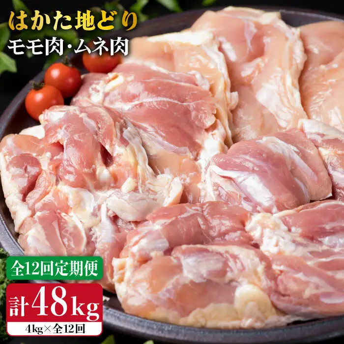 【全12回定期便】はかた地どり もも肉 2kg & むね肉 2kg 合計4kg セット 糸島【糸島ミートデリ工房】 [ACA159] 博多 鶏肉 鳥 もも むね モモ ムネ 焼肉 焼き肉 BBQ 小分け 国産