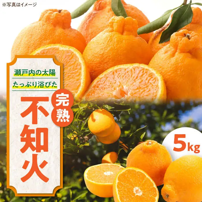 しらぬい 完熟しらぬい 5kg 【2月下旬から順次発送】[AGAW003]