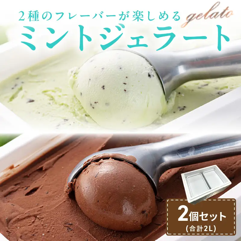 ミントジェラート1L 2種×1個 ( ジェラート アイス アイスクリーム ハッカ チョコ ミント ミントアイス スイーツ チョコチップミント カカオ ふるさと納税 )【007-0054】