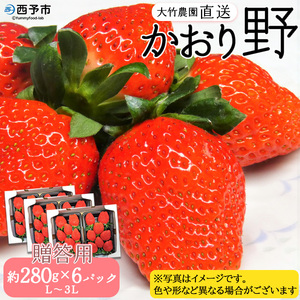 大竹農園直送 イチゴ「かおり野」 贈答用 ６パック 【１月～４月配送】 UON005