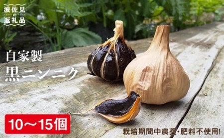 【先行予約！6月下旬より順次発送】まるでプルーン♪自家製 黒ニンニク 自然栽培 【浅田峠自然塾】 [EA13]