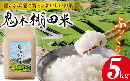 新米 令和8年度米 先行予約鬼木 棚田米 5kg 新米 [GA15] 白米 精米