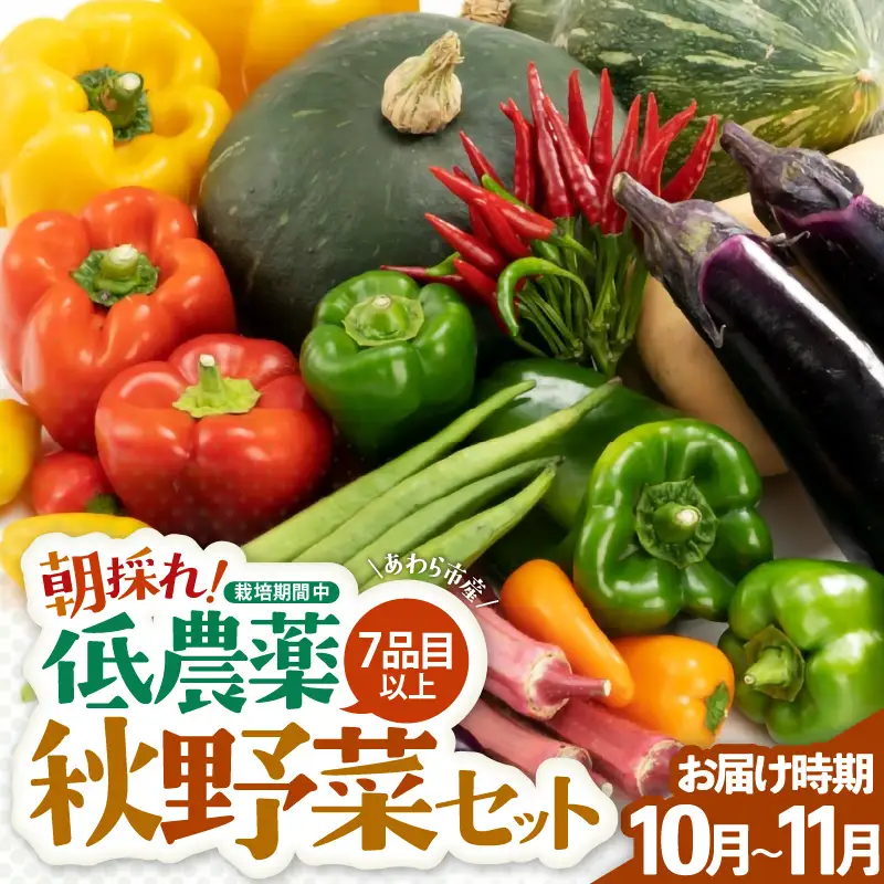 【先行予約】農家直送 秋野菜セット 1箱 7品目以上 《元気に育った新鮮野菜！》／ 福井 あわら市 季節 秋 野菜 ボックス BOX セット セレクト 農家 おまかせ 多品目 旬 詰め合わせ ※2026年10月下旬以降発送 [aw028-a010]