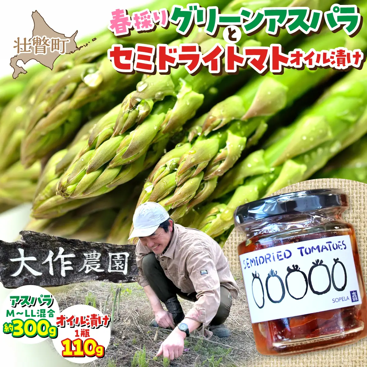 ＜2027年4月中旬頃よりお届け＞北海道壮瞥産 大作農園の「春採りグリーンアスパラM～LL混合」約300gとセミドライトマトオイル漬け1瓶（110g）のセット SBTR009