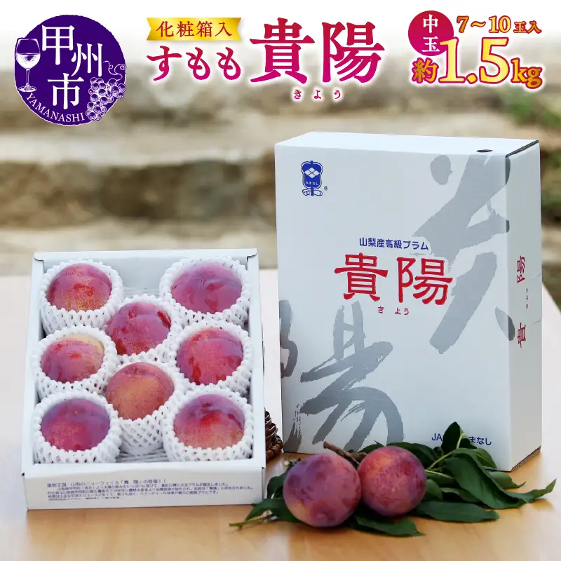 【宿沢フルーツ農園】すもも『貴陽』約1.5kg 化粧箱中玉（7～10玉）【2026年発送】（SF）B12-143 すもも フルーツ