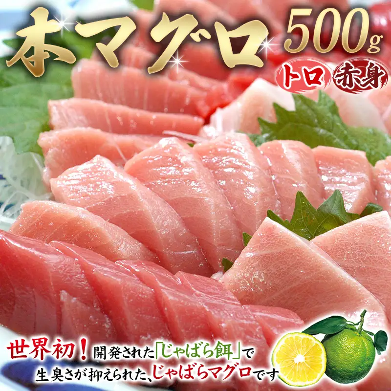 本マグロ（養殖）トロ＆赤身セット 500g まぐろ【nks110D】 | 和歌山県