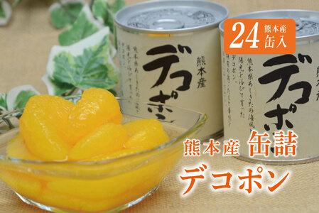 B29-26 デコポン缶詰（24缶）