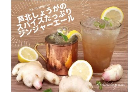 B68-10 Ashikita Spices Ginger（アシキタ スパイス ジンジャー）
